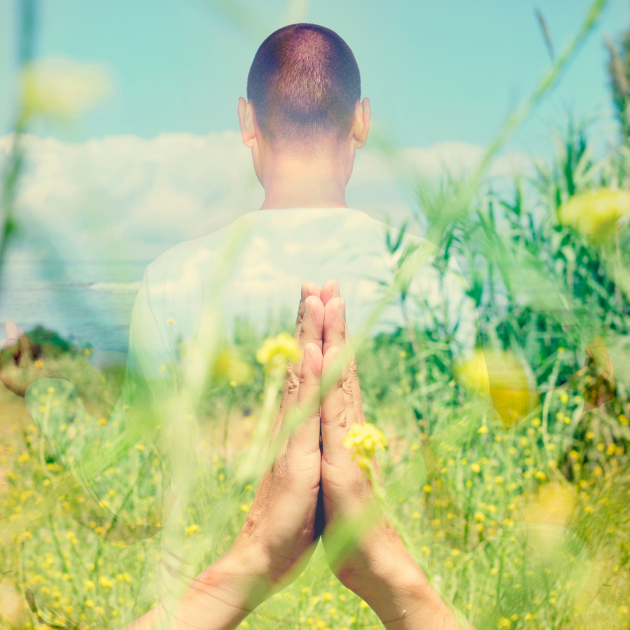 What are the 5 Prana’s and how understanding this is key to your wellbeing