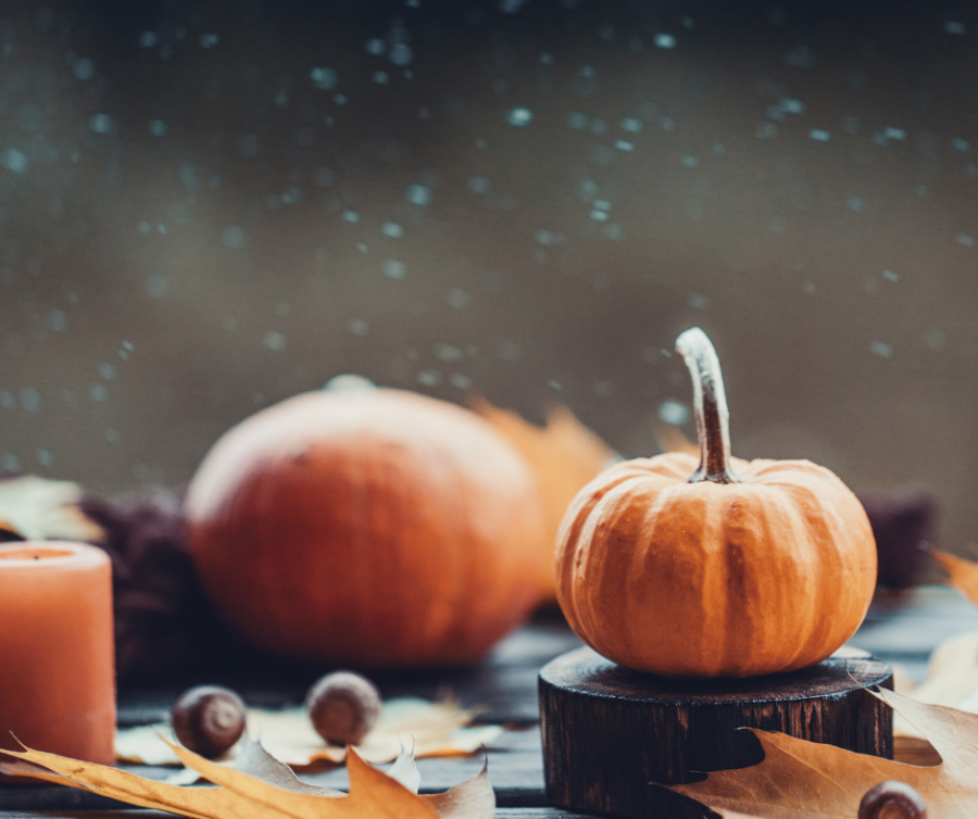 Embracing October Wisdom and the Beauty of Letting Go