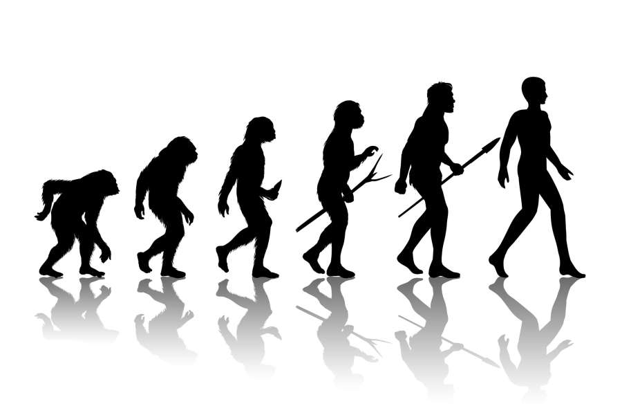 How Civilised Are Your Genes?