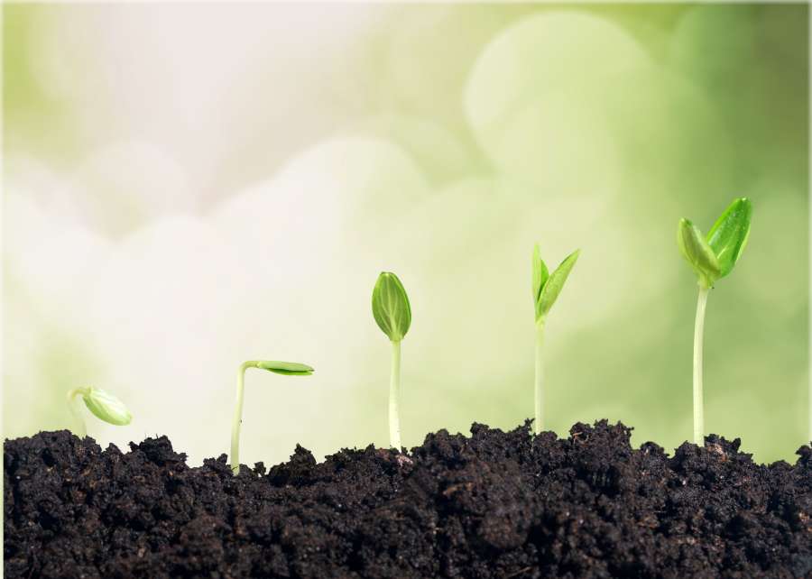 Book Review: GROW – Jackie Beere